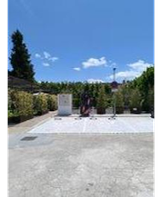 Wenea imagen 2