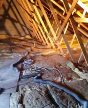 Legrand Benoît image 10