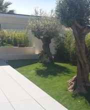 Espaces Verts Jean-Baptiste Torres image 3