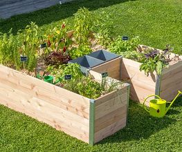 Mon Petit Potager image 4