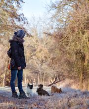 Hundeschule Gotha Bild 1