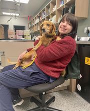 Bedford Oaks Family Vet image 20