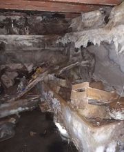 P2H Préservation Hygiène Habitat image 7