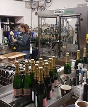 Colon Pierre SCEA image 14