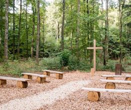 FriedWald Blaubeuren Bild 3