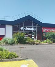 Animalis Limoges image 2
