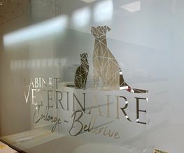 Cabinet Vétérinaire de Collonge-Bellerive Sàrl Bild 11