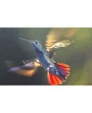 Psychologische Privatpraxis Dipl.-Psych. Ewald Weigle, Ph.D. Bild 1