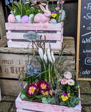 Budberger Blümchen Bild 8