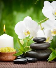 Veith Yerly Monique Bild 3