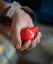 EFS - Maison du don - Carcassonne image 3