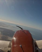 220764013-2-qMZtUosTyV1727090268675.jpeg