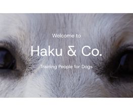 Haku & Co Hundeschule Bild 4