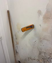 SPRS image 11