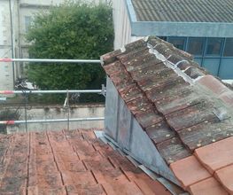 Amis Perchés image 10