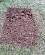 Baron Frederic image 11