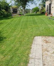 Ted Multiservices image 9