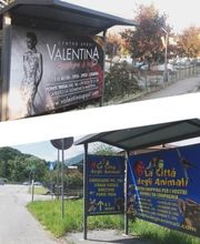 Gallery Cliente