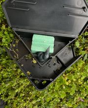 insectacon Schädlingsbekämpfung Bild 10