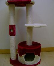 centro-gato-05.jpg