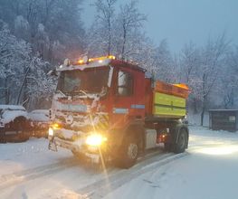 Besomi Trasporti SA Bild 4