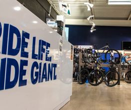 Giant Belfort image 3