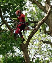 Pierre Elagage et Paysage image 6
