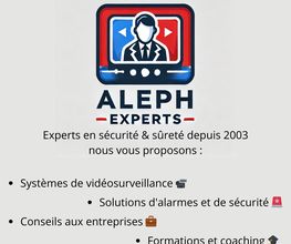 Aleph Experts Concept Sécurité image 5