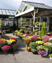 Art Fleurs et Jardins image 4