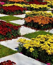 Jakobs Dienstleistung Bild 5