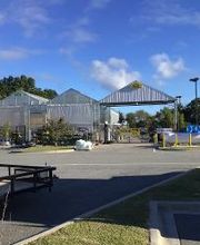 Tractor Supply Co. image 4