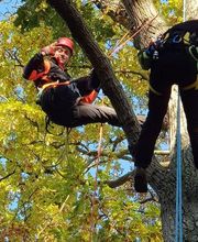 Cyril Bunel Paysages & Espaces Verts image 14