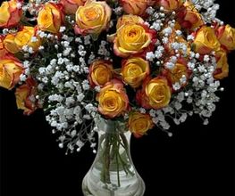 Florabella Bild 10