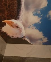 Spanndecken MaLex Bild 7