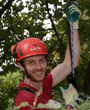 Baumpflege Fleischer Leipzig Bild 4