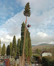 Lopez Dominique le Grimpereau image 5