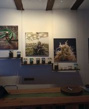 Hempstore CBD Shop Bild 11