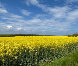 Ferienhäuser Barendorf Bild 2