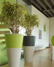 Bernard SARL image 14