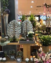 Blumen Interfleur Floristik & Wohnaccessoires Bild 5