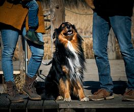 Familien-Fotoshooting