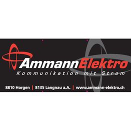 Ammann Elektro AG