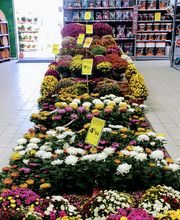 Bricomarché Romilly Sur Seine image 1