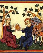 Domaine du Cardona image 3