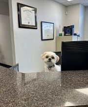 Advanced Family Dentistry image 14