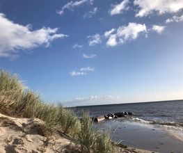 Super Hundeurlaub Bild 1