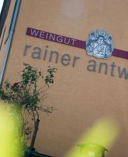 Weingut Antweiler Bild 6