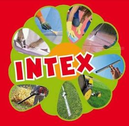 INTEX SERVICES