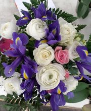 Audrey Fleurs image 13