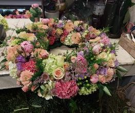 Blumen Dahlmann Bild 10
